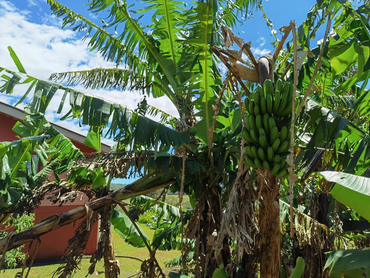 Campo Azul - Monteverde Екстериор снимка
