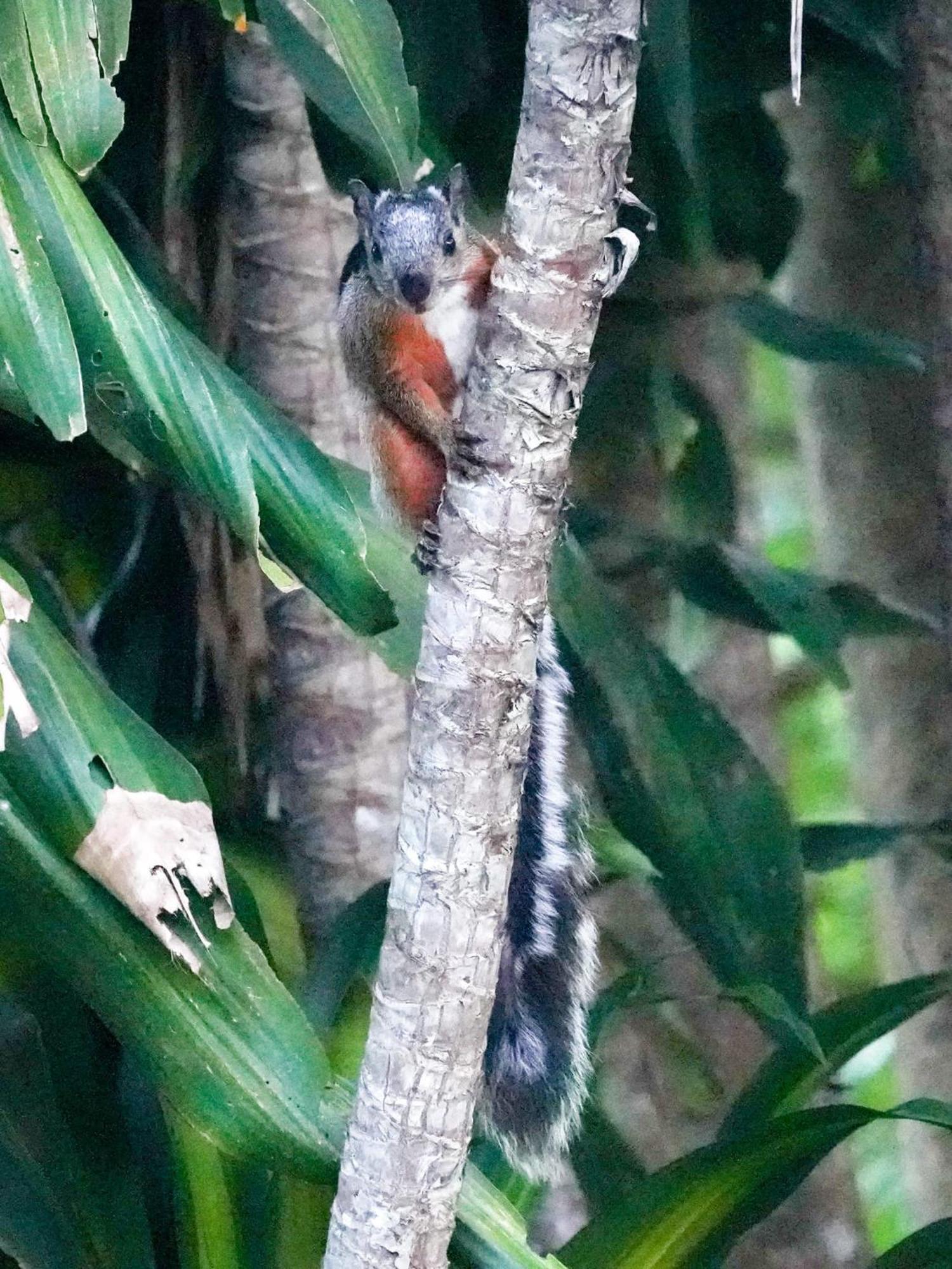 Campo Azul - Monteverde Екстериор снимка